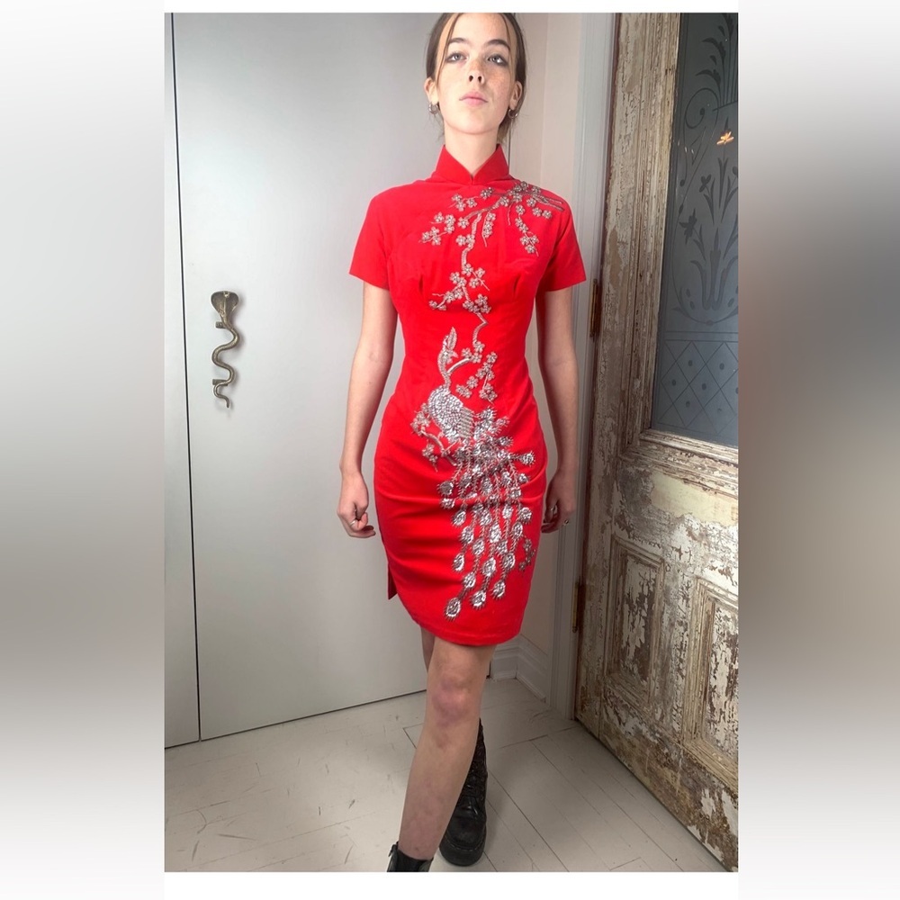 ‼️RARE‼️🔥Anna Corinna🔥Vintage Flame Velvet Beaded Peacock Dress